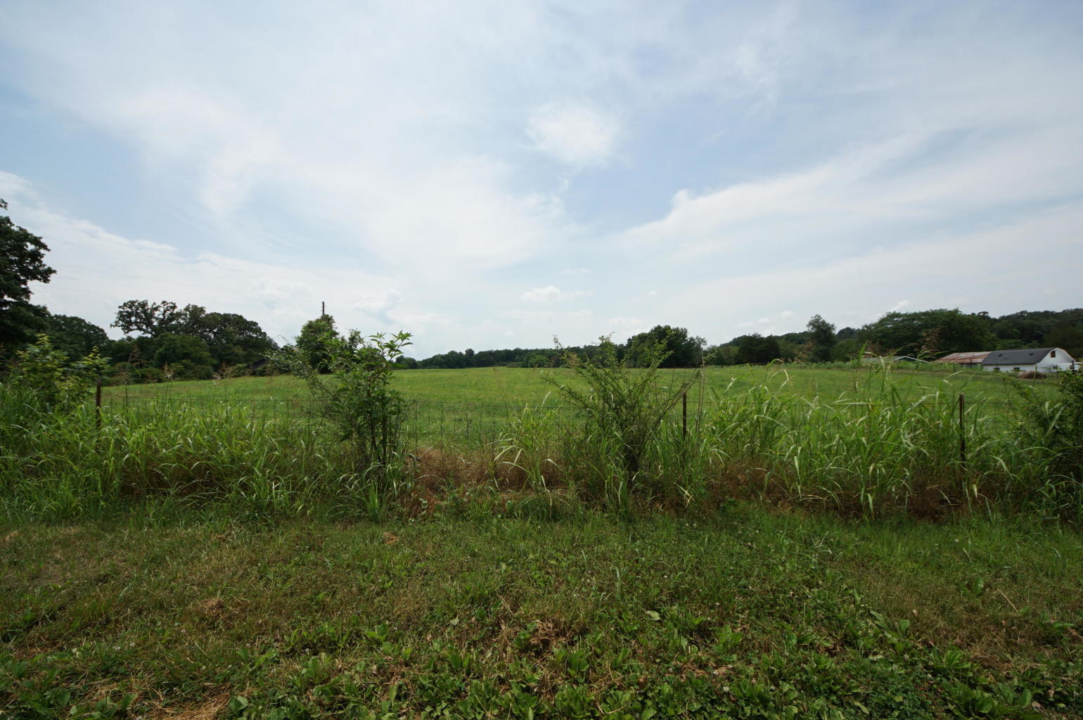 Noel Road Sweetwater, TN 37874 - Photo 3 of 23 Noel 3