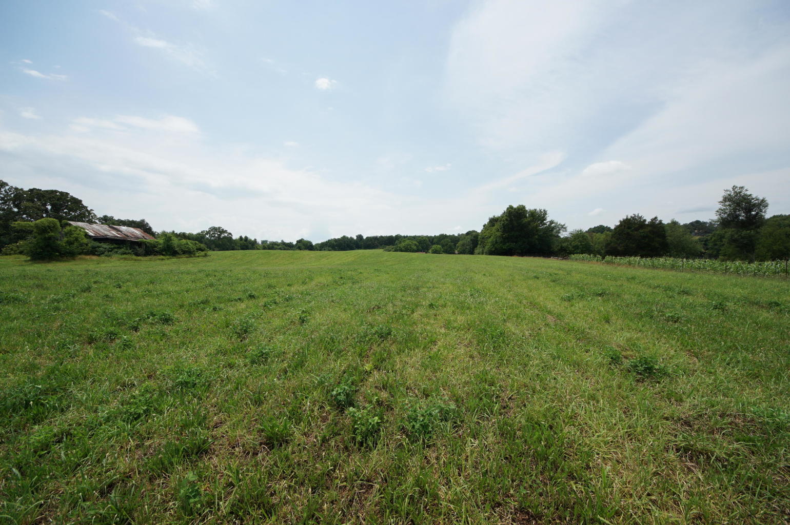 Noel Road Sweetwater, TN 37874 - Photo 4 of 23 Noel 4
