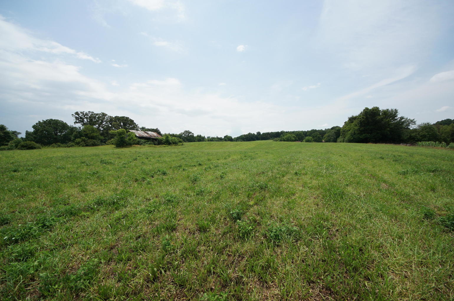 Noel Road Sweetwater, TN 37874 - Photo 5 of 23 Noel 5