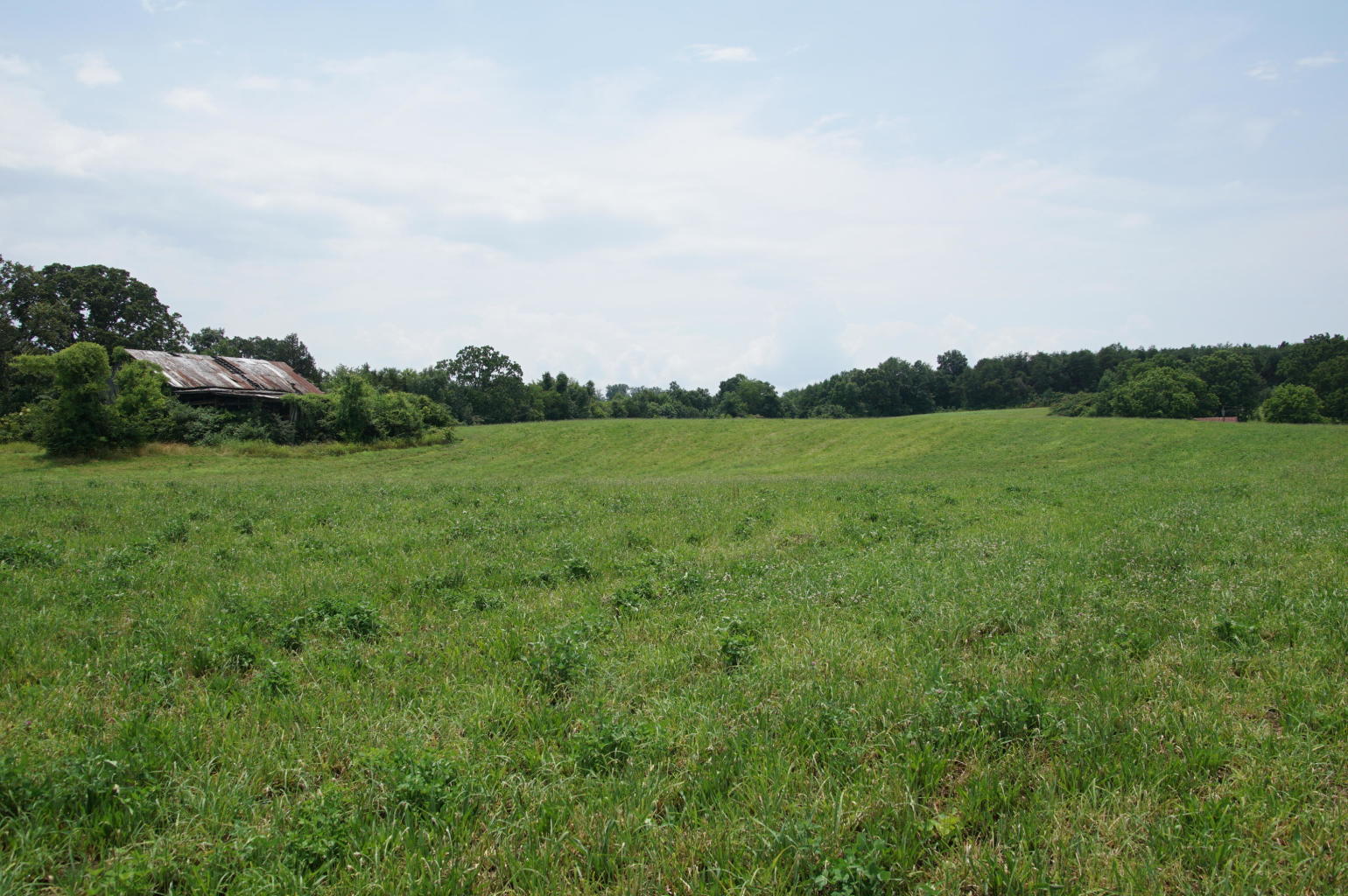 Noel Road Sweetwater, TN 37874 - Photo 6 of 23 Noel 6