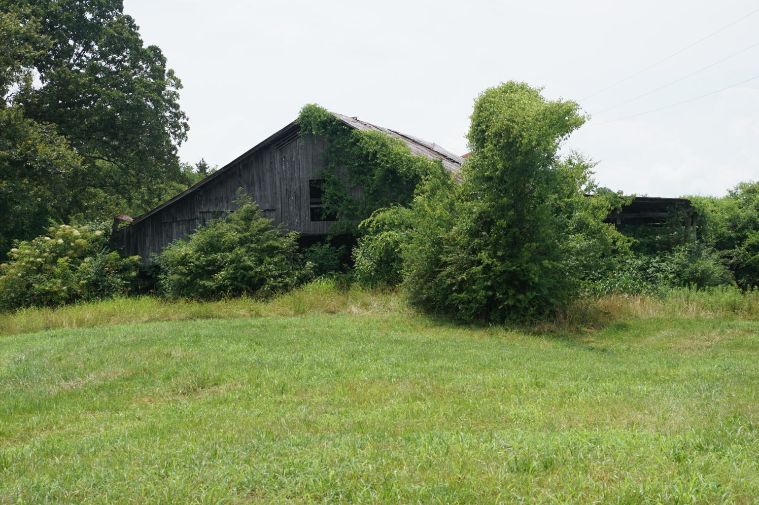 Noel Road Sweetwater, TN 37874 - Photo 7 of 23 Noel 7