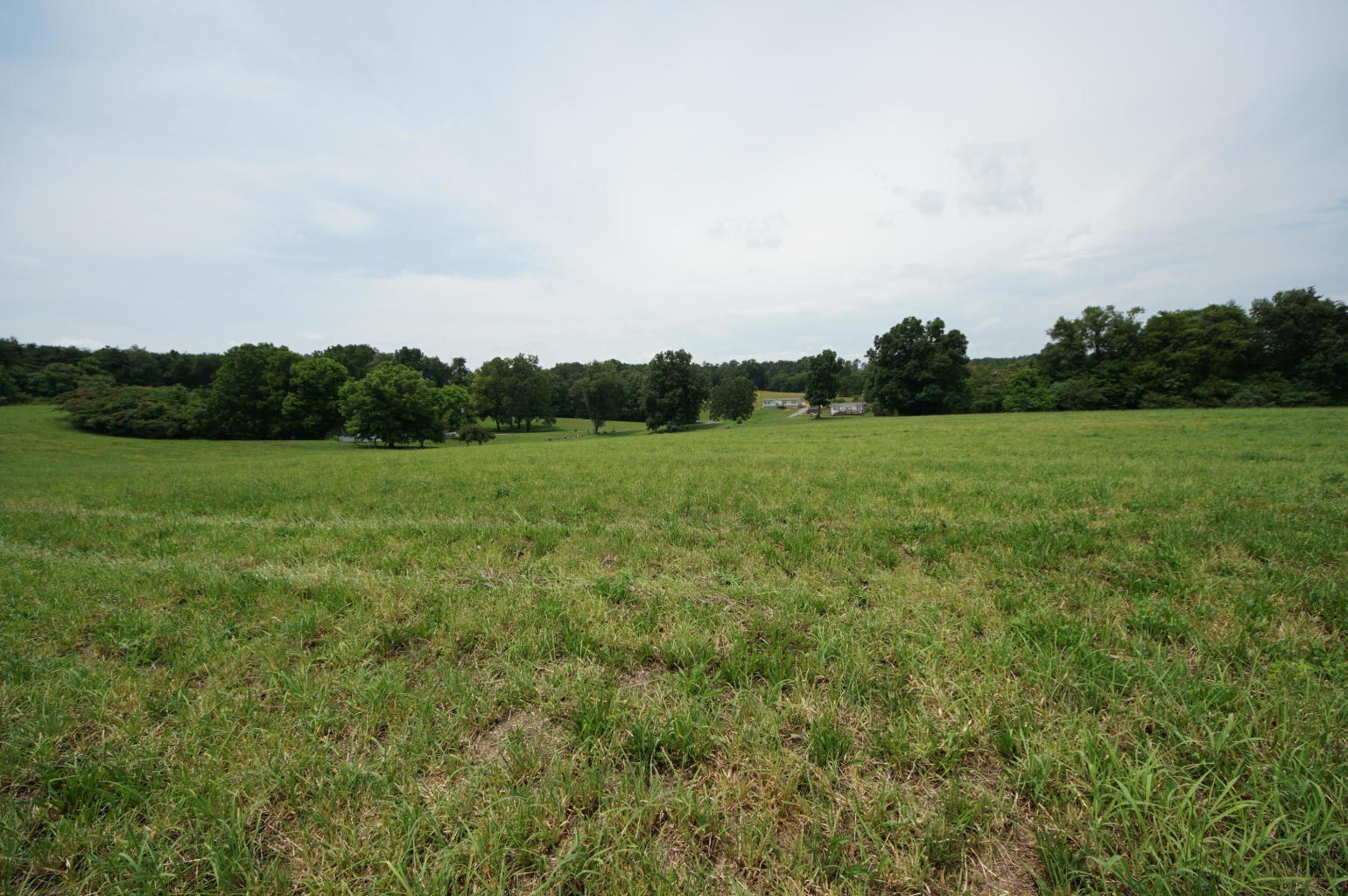 Noel Road Sweetwater, TN 37874 - Photo 9 of 23 Noel 9