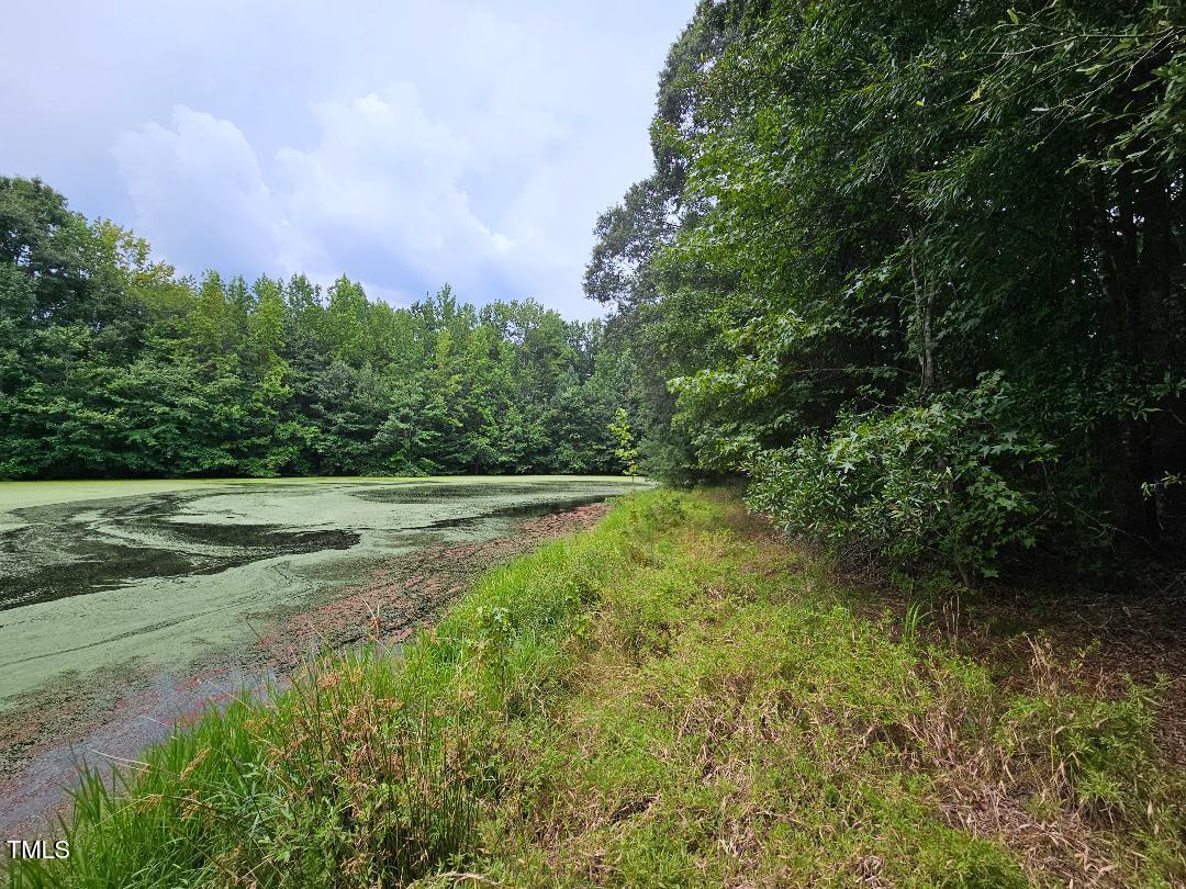 844 East Chrisco Road Seagrove, NC 27341 - Photo 4 of 10 chriscoe.pond3