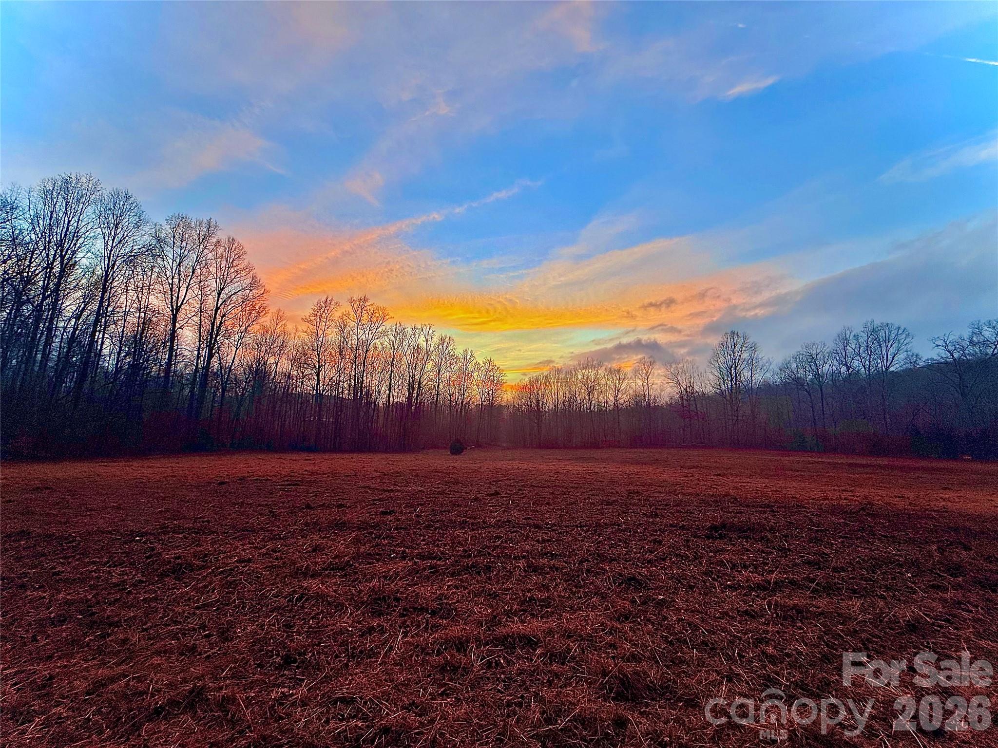 0 Bill Collins Road Columbus, NC 28722 - Photo 8 of 14