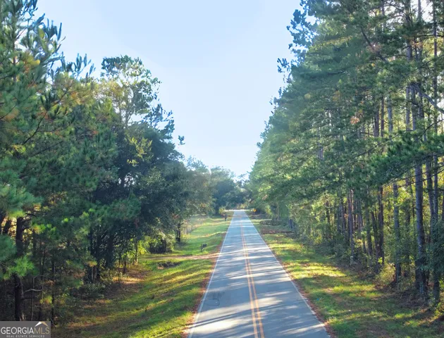 $50,000 | 0 Mosley Road, Claxton, GA 30417