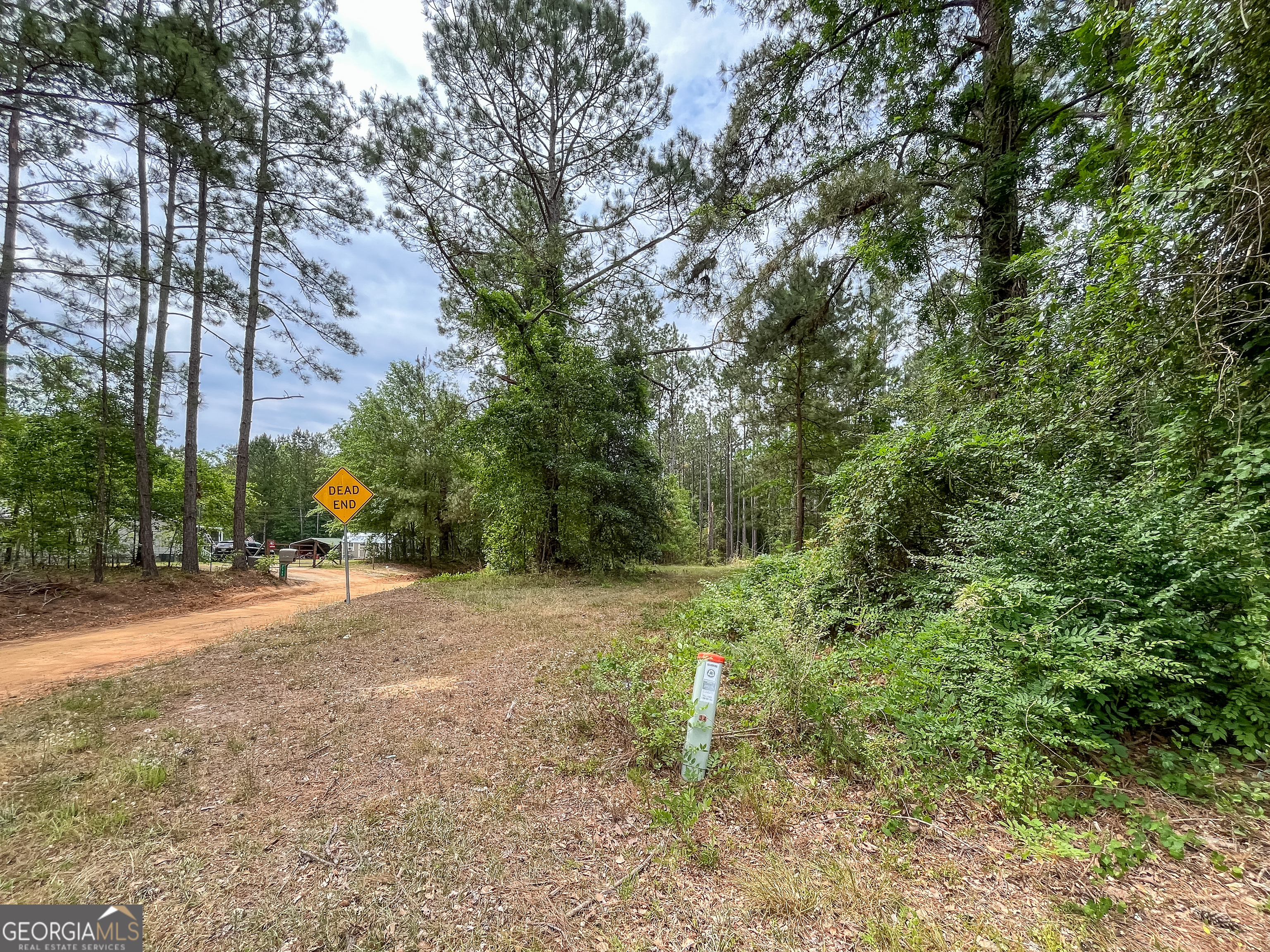 0 Mosley Road Claxton, GA 30417 - Photo 3 of 8