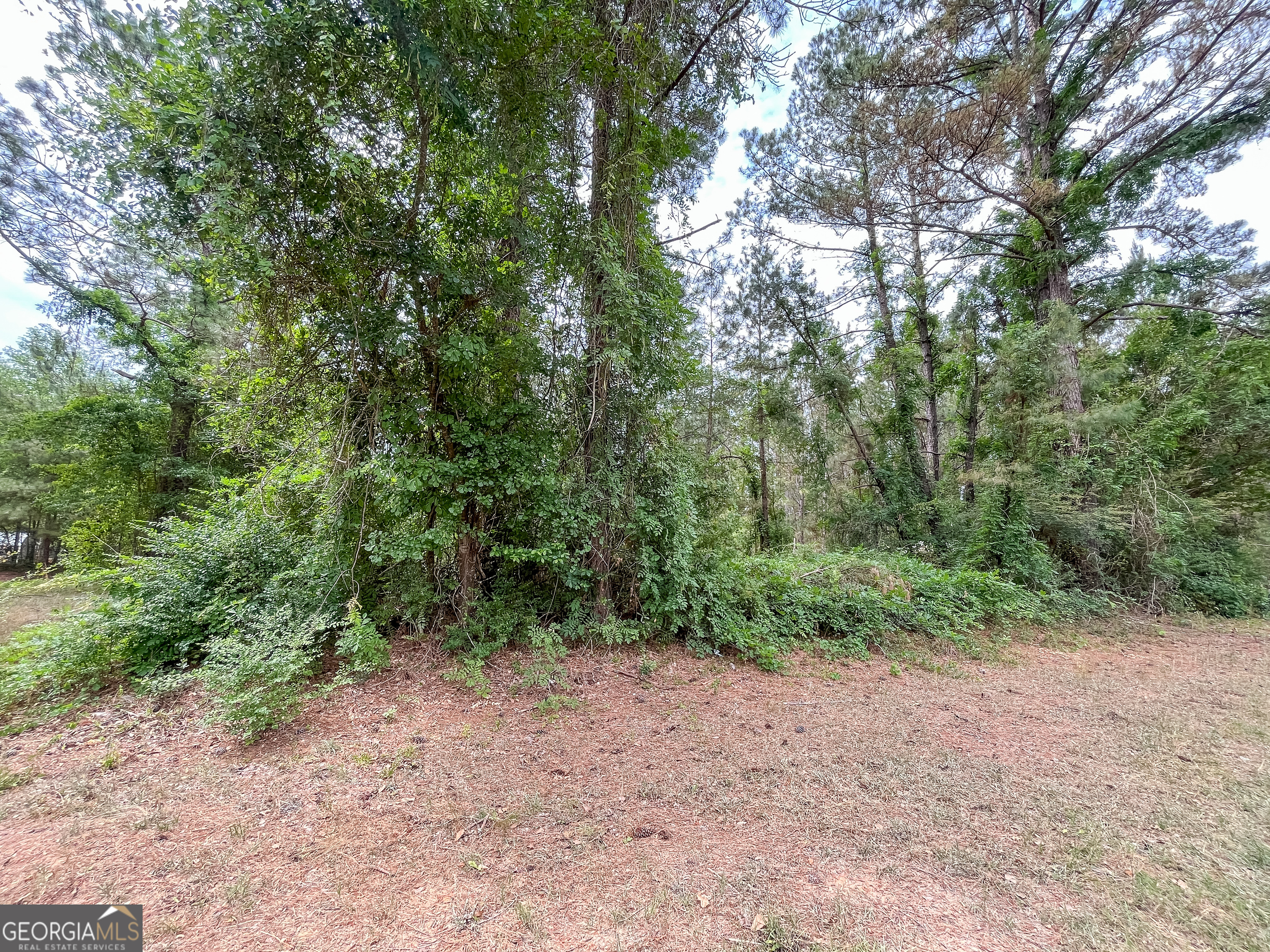 0 Mosley Road Claxton, GA 30417 - Photo 7 of 8