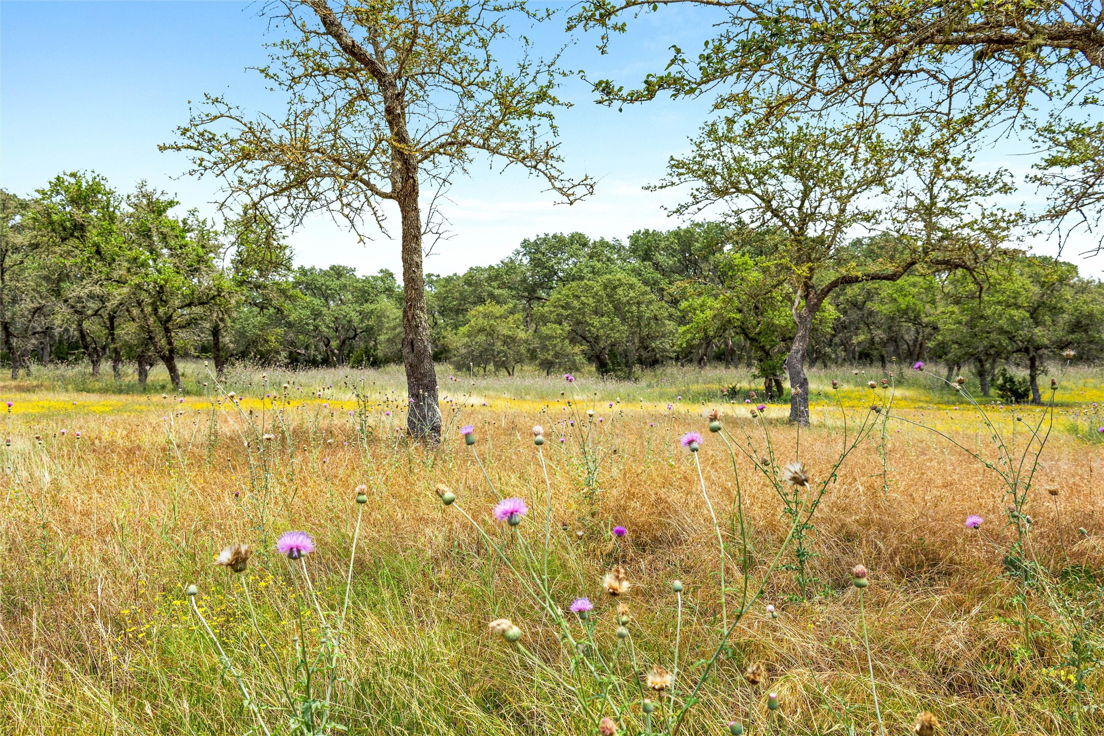 426 Preiss Ranch Road Blanco, TX 78606 - Photo 29 of 40