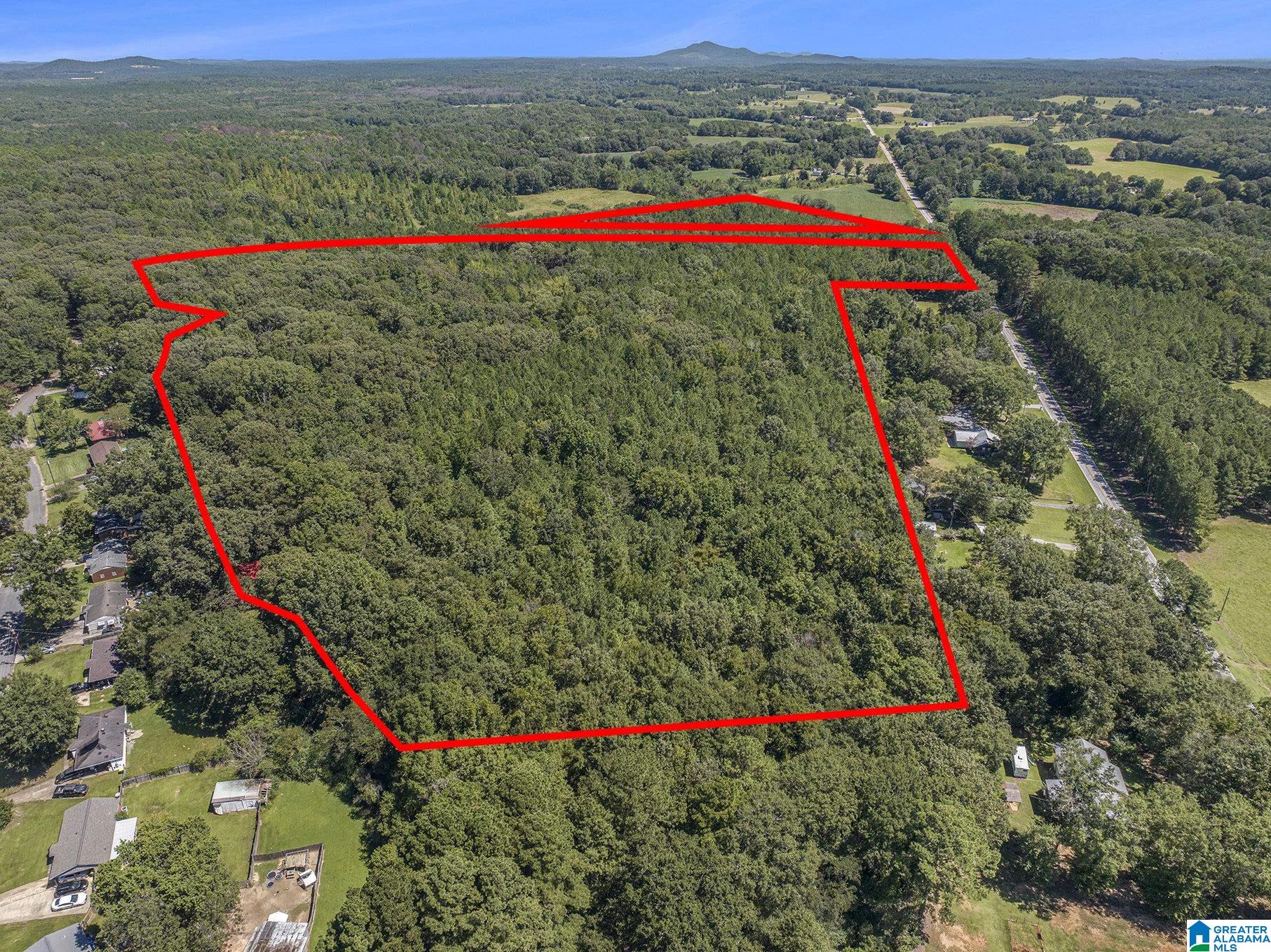 10614 Grist Mill Road, Unit 1 Childersburg, AL 35044 - Photo 9 of 9
