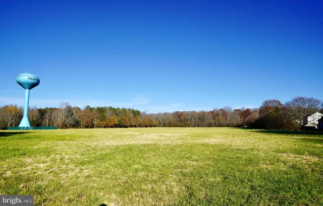 a view of a field with an ocean