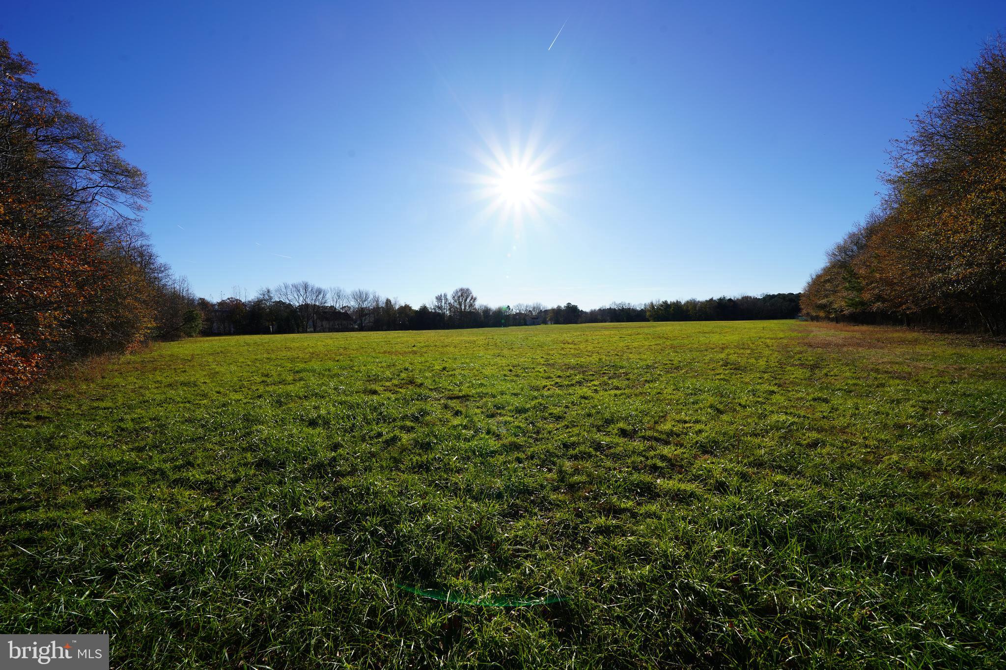 0 Lynch Lane Georgetown, DE 19947 - Photo 3 of 8