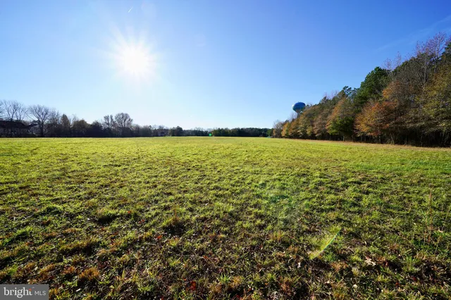 a view of an ocean from a yard