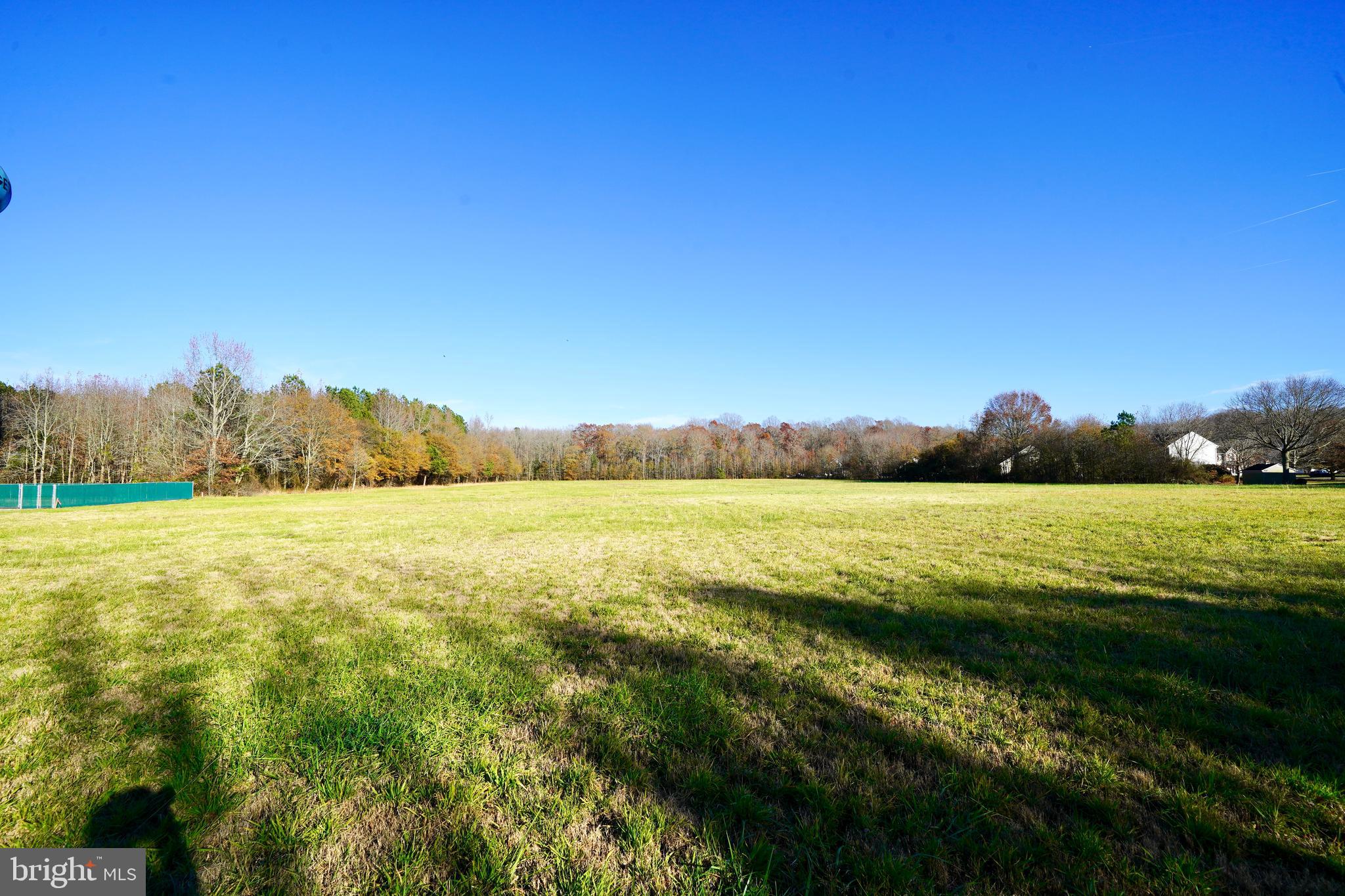 0 Lynch Lane Georgetown, DE 19947 - Photo 6 of 8