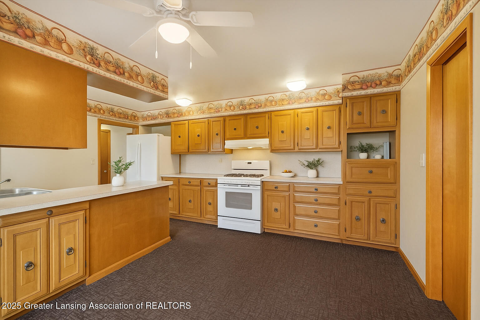 124 East Fulton Street Middleton, MI 48856 - Photo 12 of 23 IMG_4911