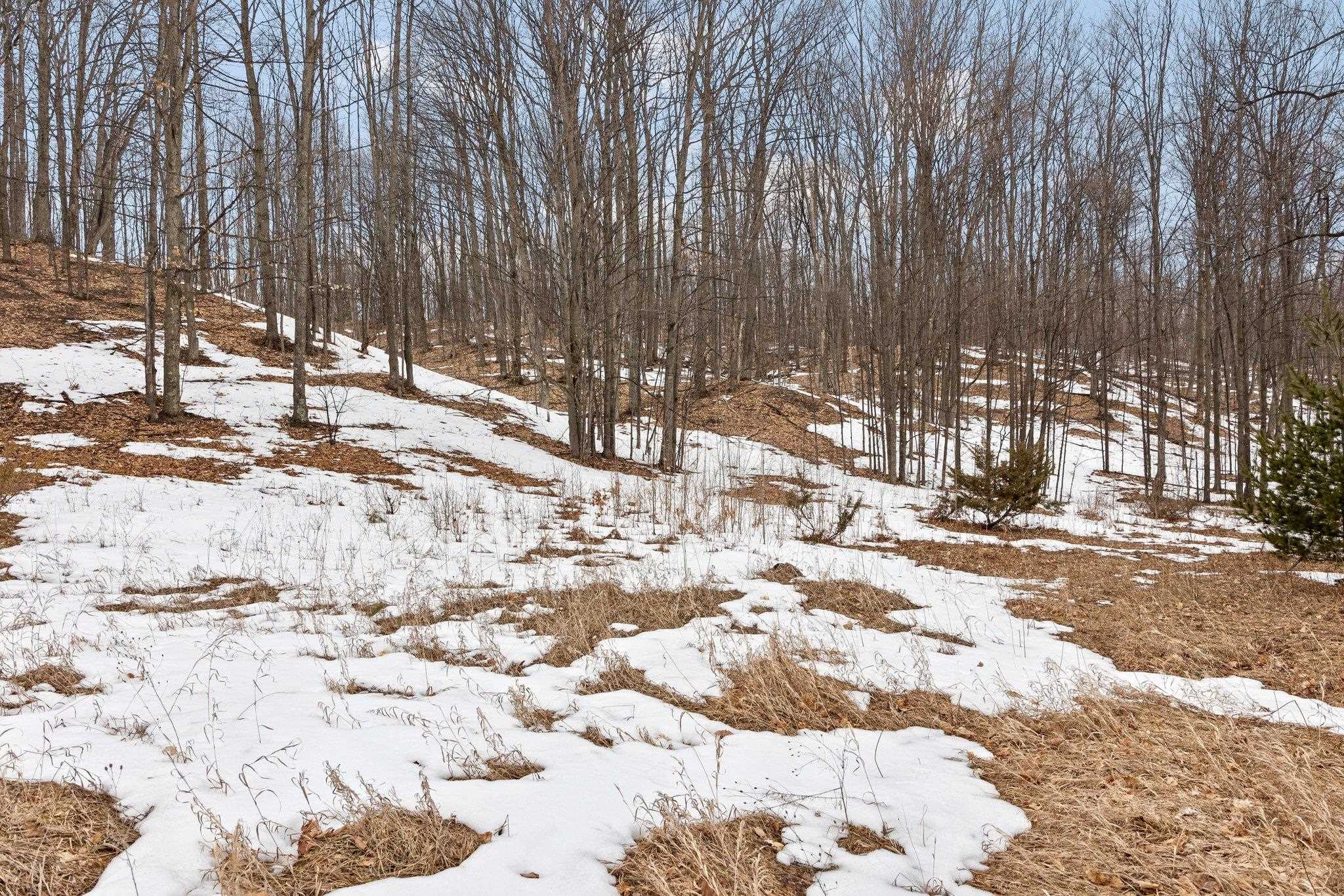 5 East Meander Lane Cedar, MI 49621 - Photo 9 of 36