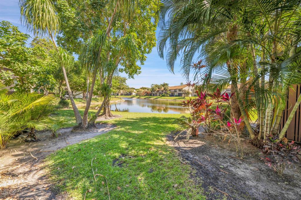 3963 Cocoplum Circle, Unit F Coconut Creek, FL 33063 - Photo 4 of 35 a view of a yard with a tree