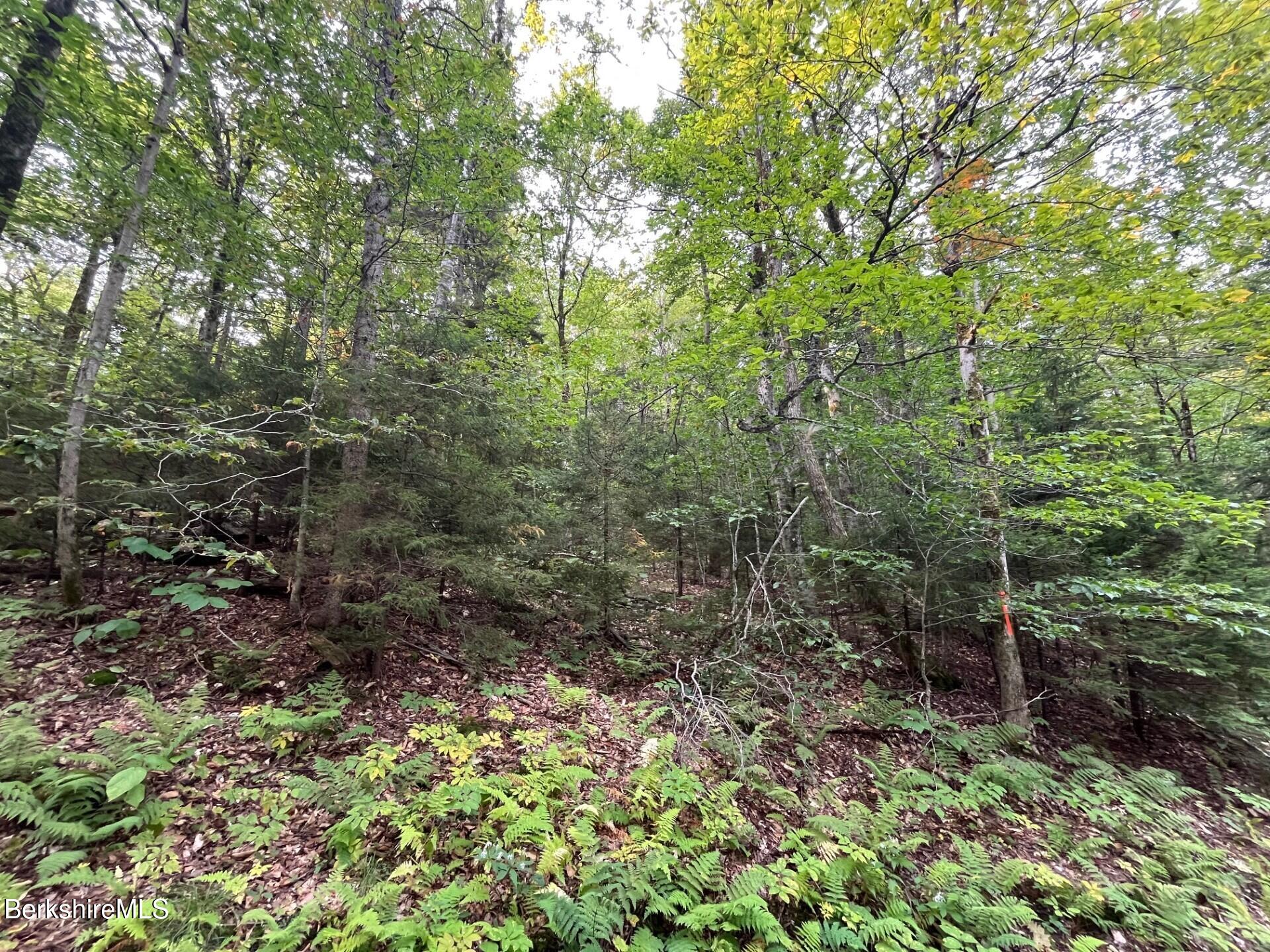 0 Manley Phelps Road Monroe, MA 01350 - Photo 2 of 18 Cover C