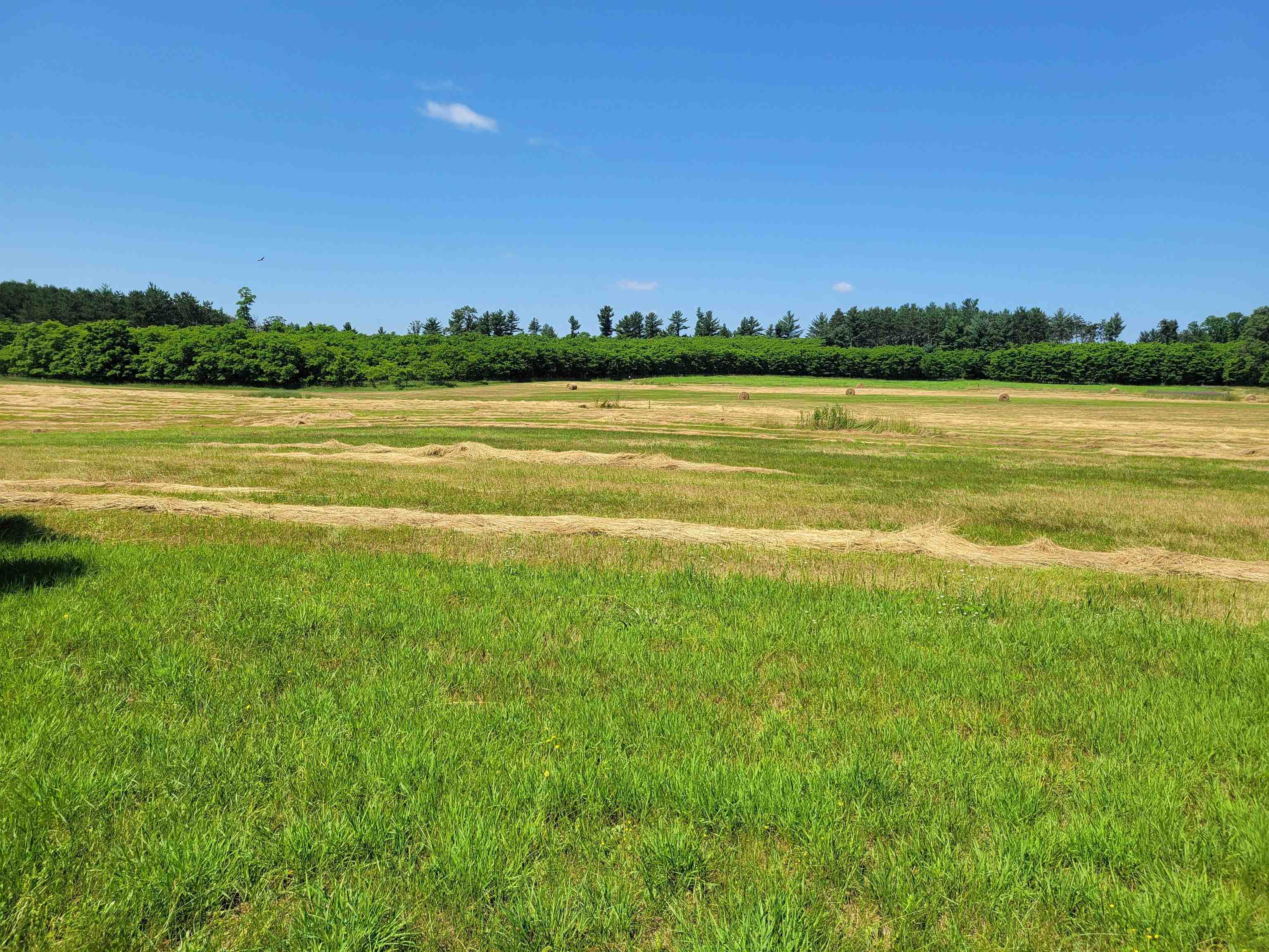 N1775 County Rd K Waupaca, WI 54981 - Photo 2 of 14