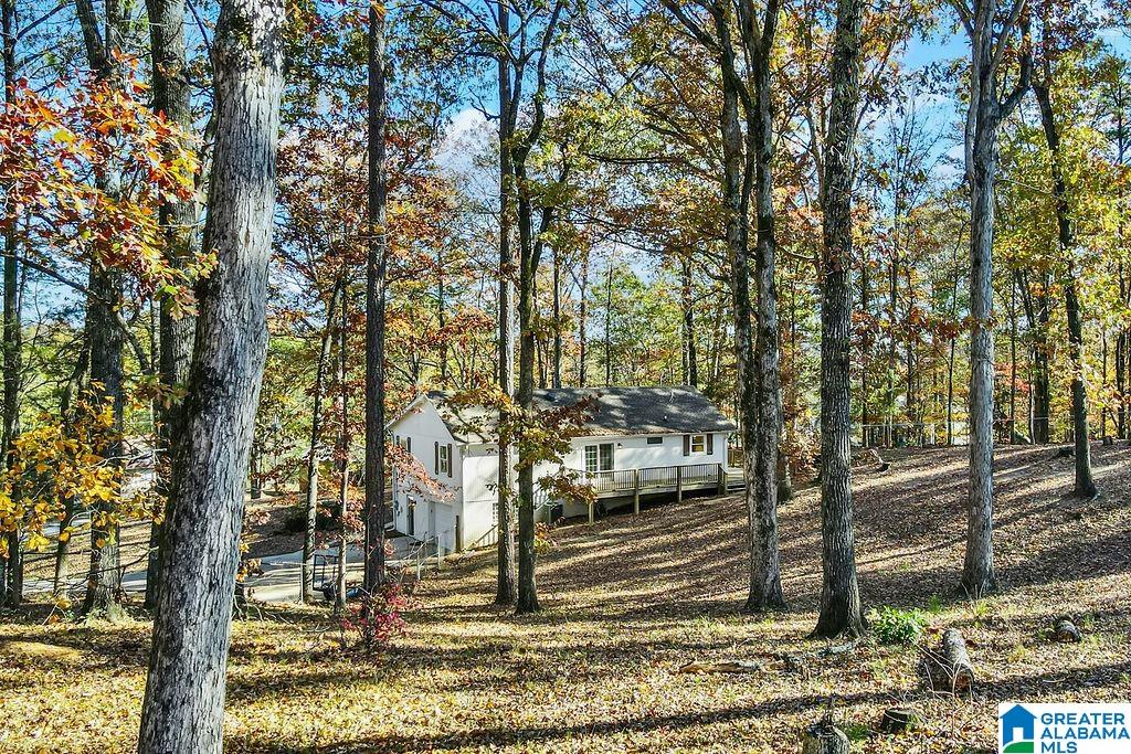 1226 Dunham Lane Helena, AL 35080 - Photo 58 of 62