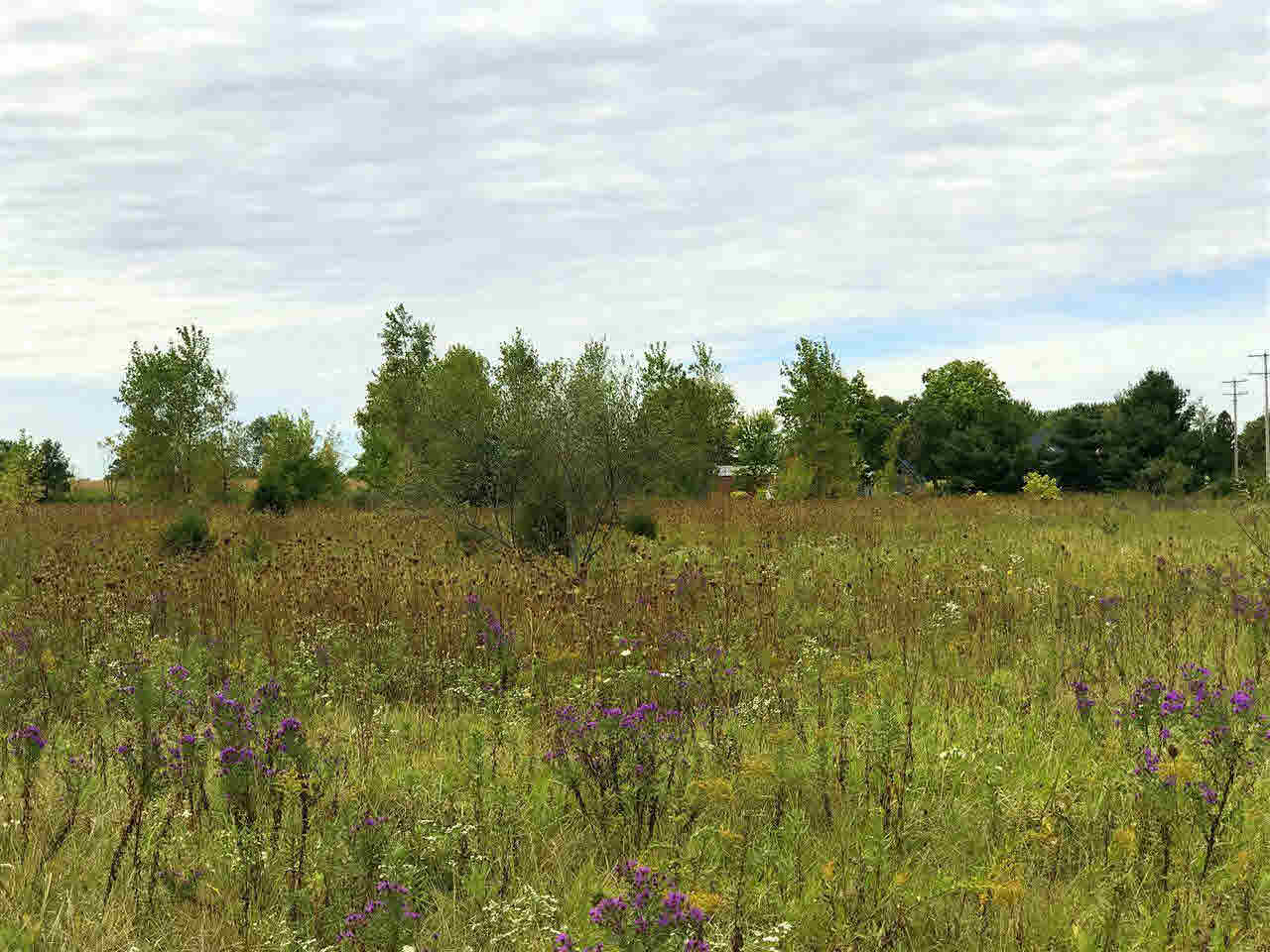 0 North Byron Road Lennon, MI 48449 - Photo 1 of 1