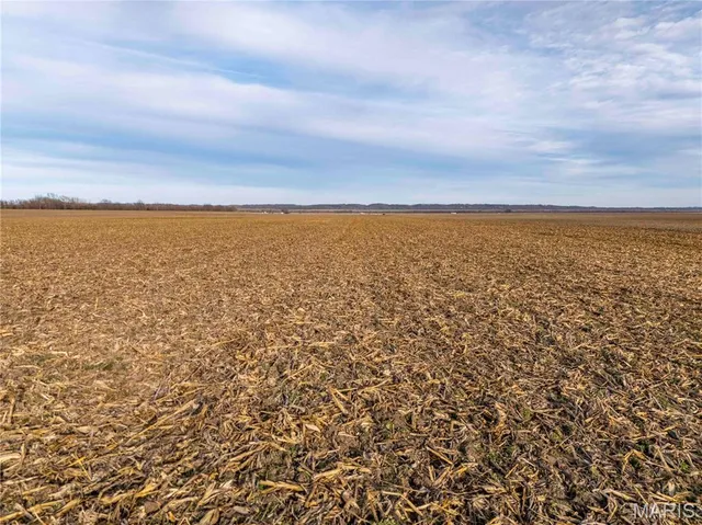 $1 | 0 Bond Road, Chester, IL 62233