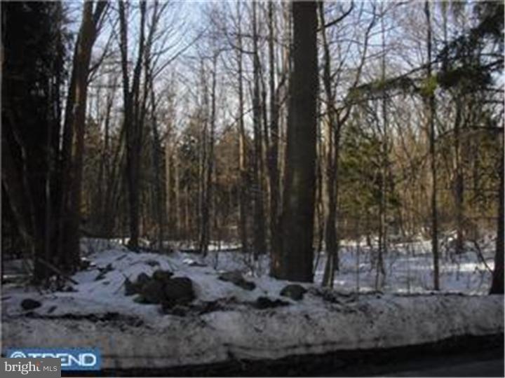 7666 Landis Store Road Boyertown, PA 19512 - Photo 2 of 5 Gallery Image 2