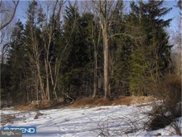 7666 Landis Store Road Boyertown, PA 19512 - Photo 4 of 5 Gallery Image 4