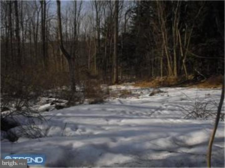 7666 Landis Store Road Boyertown, PA 19512 - Photo 5 of 5 Gallery Image 5