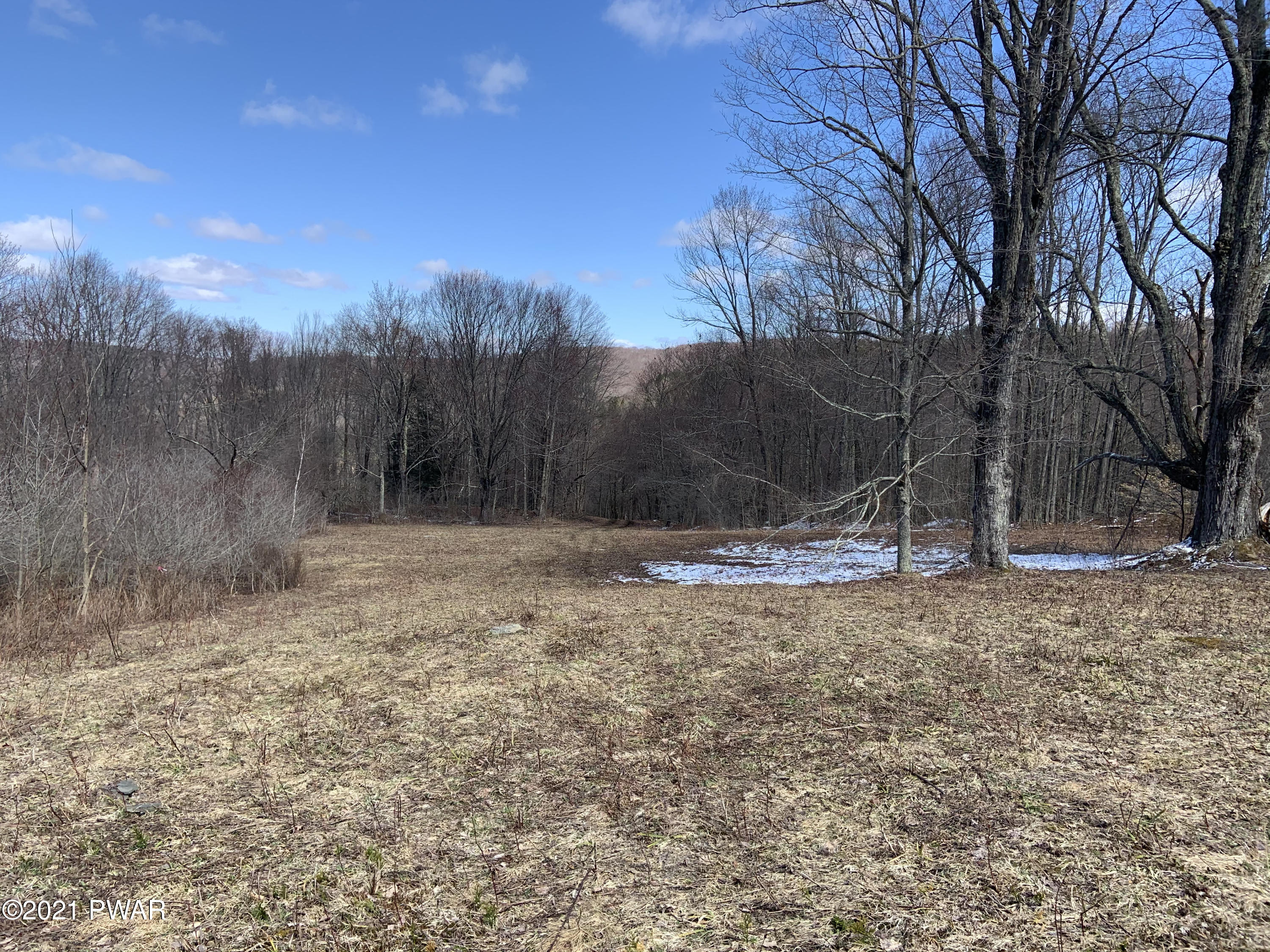 Starrucca Creek Road Susquehanna, PA 18847 - Photo 5 of 11