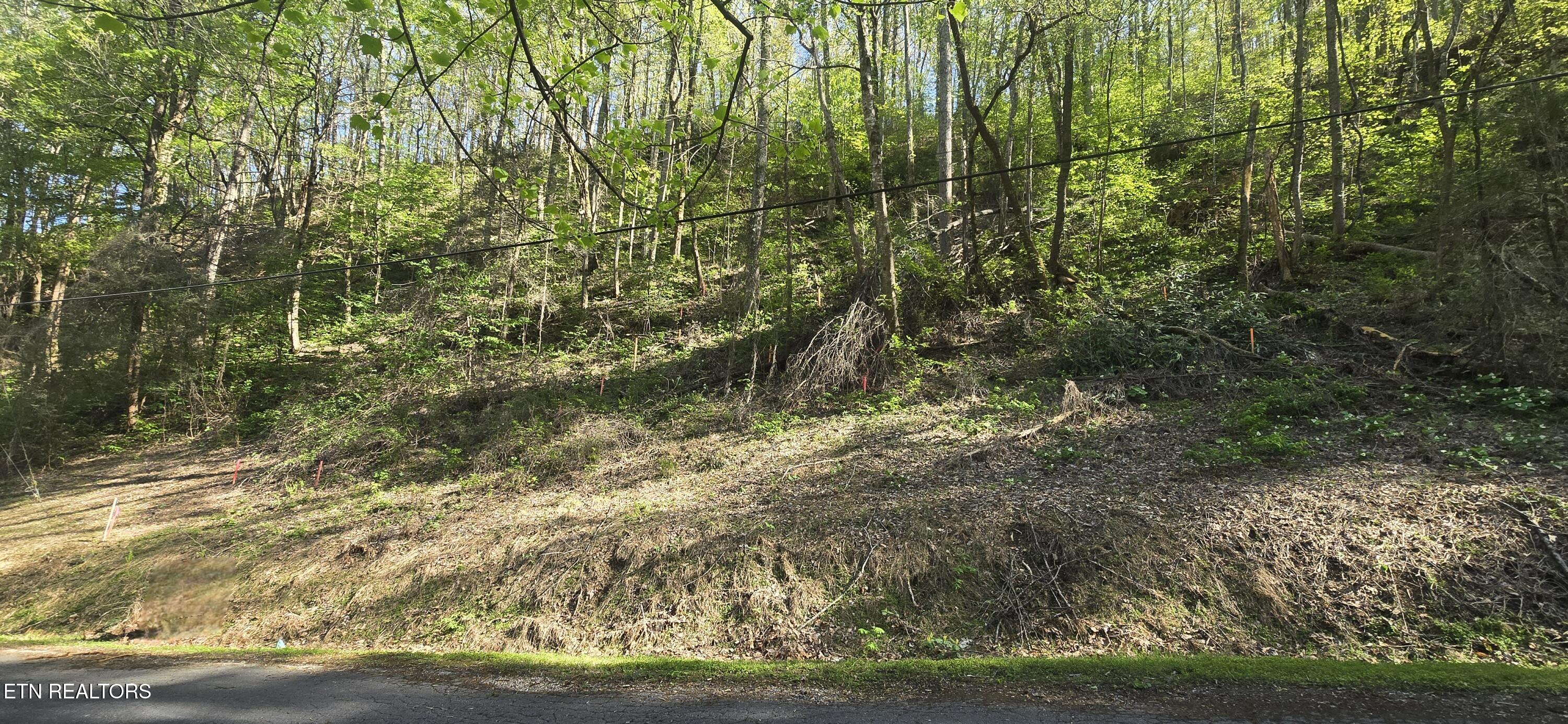 0 Black Walnut Flats Road Sevierville, TN 37862 - Photo 2 of 7 lot38pic4