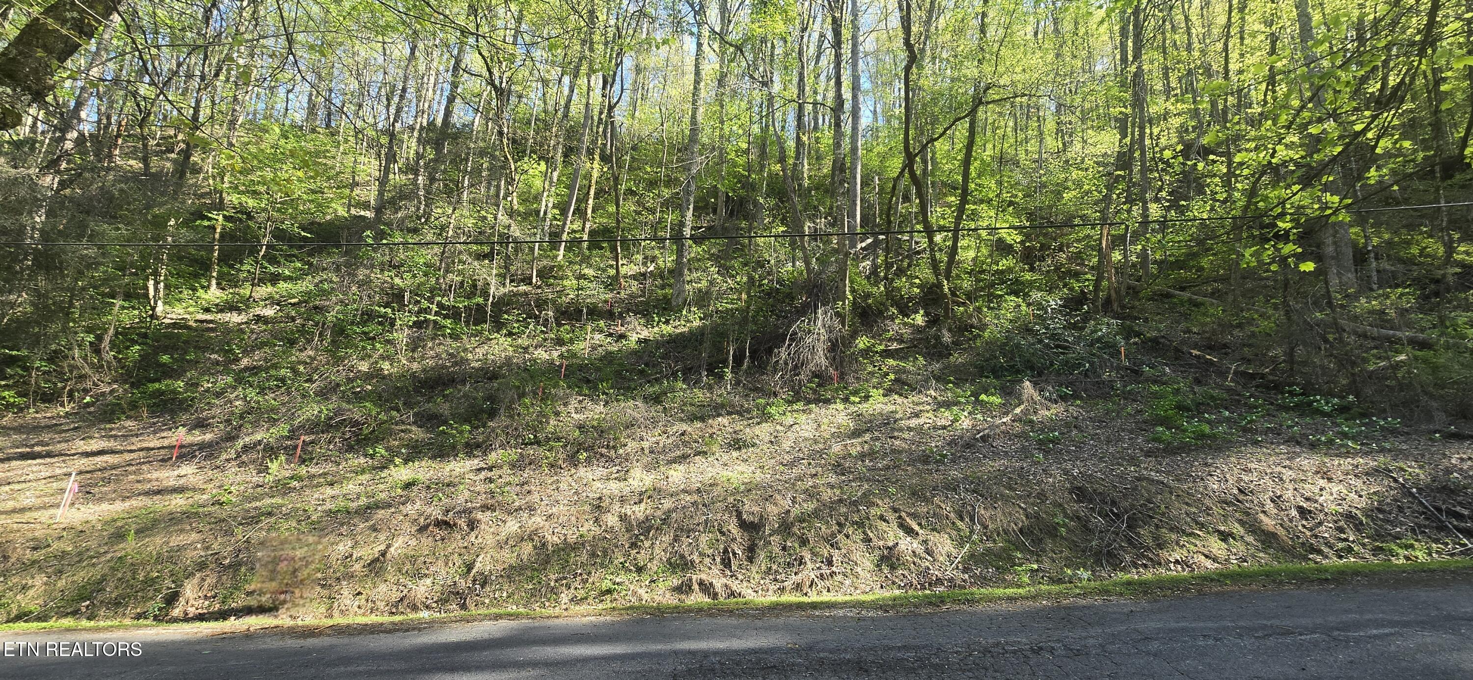 0 Black Walnut Flats Road Sevierville, TN 37862 - Photo 3 of 7 lot38pic3
