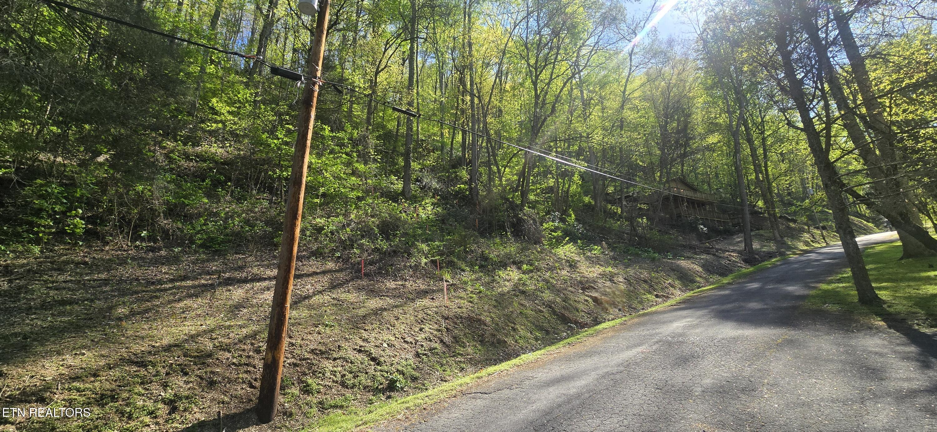 0 Black Walnut Flats Road Sevierville, TN 37862 - Photo 4 of 7 lot38pic2