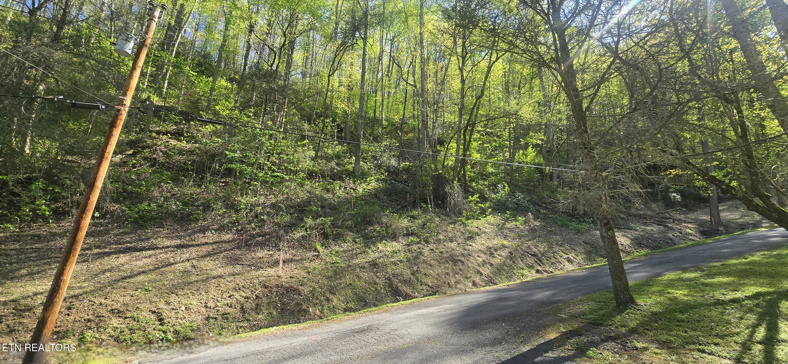0 Black Walnut Flats Road Sevierville, TN 37862 - Photo 5 of 7 lot38pic5