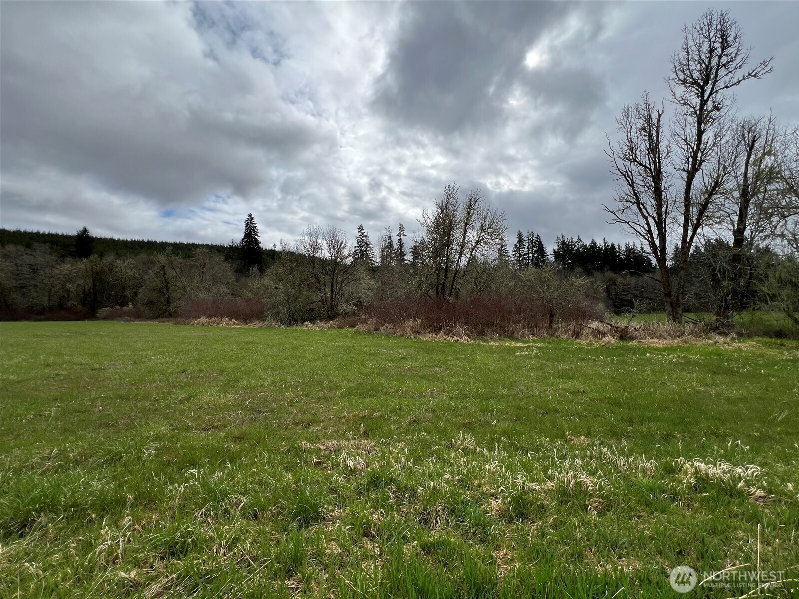 0 Bunker Hill Road Chehalis, WA 98532 - Photo 9 of 11 Gallery Image 9