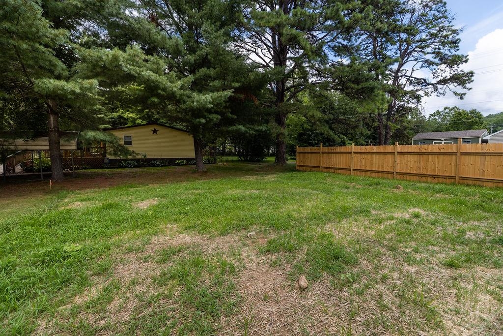 833 Faber Avenue Waynesboro, VA 22980 - Photo 36 of 36 a view of a yard with a large trees
