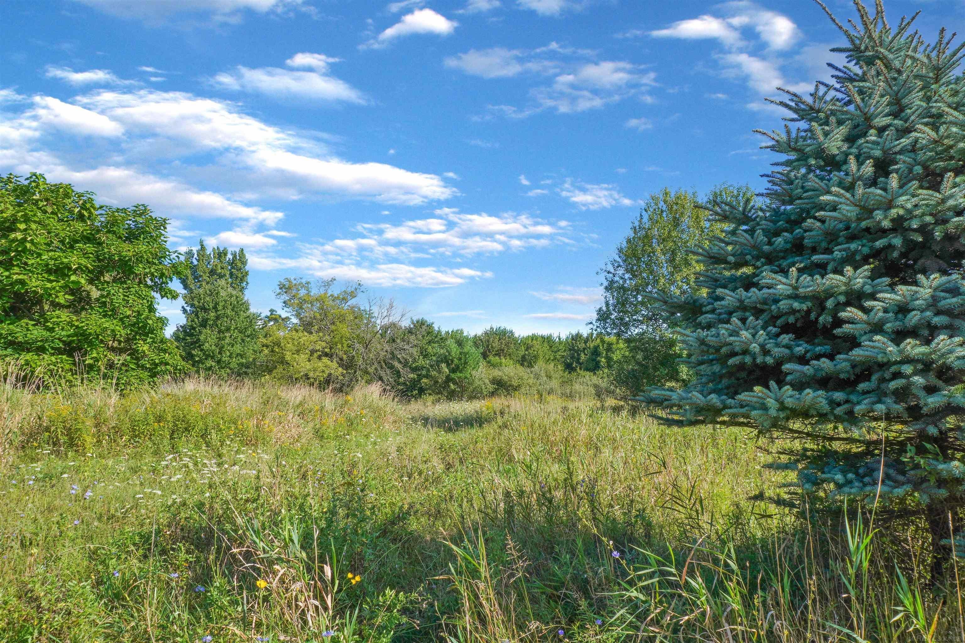 8910 Jorden Road Yale, MI 48097 - Photo 29 of 40 Gallery Image 29