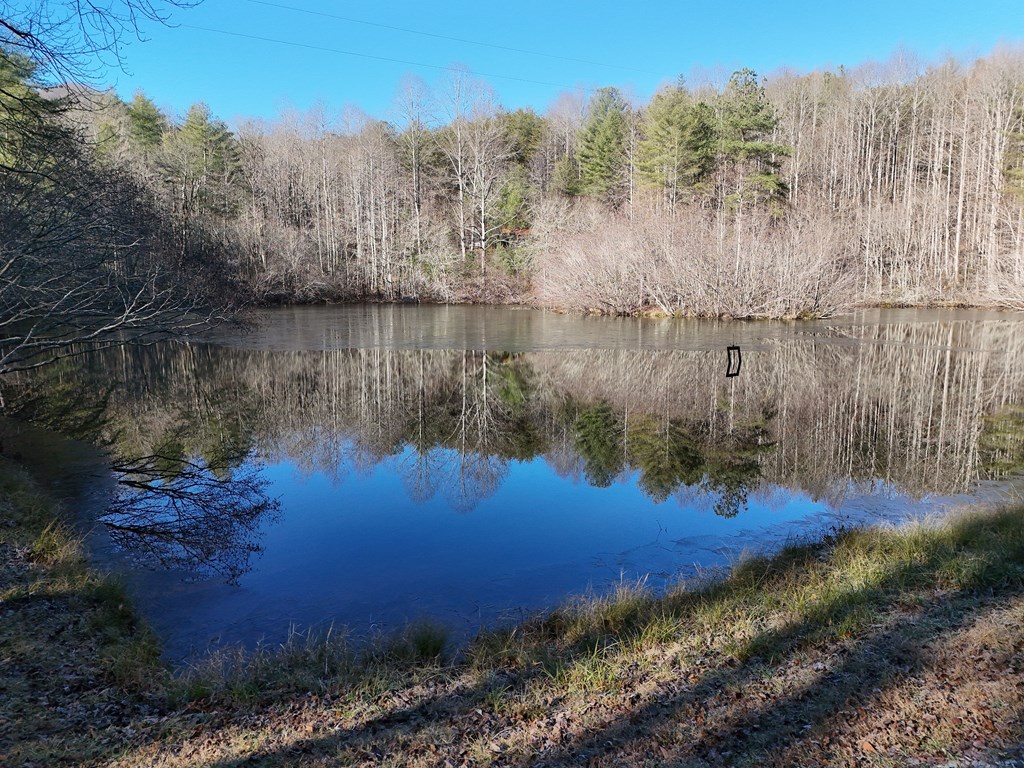 5-acres Hells Holw Way Blue Ridge, GA 30513 - Photo 6 of 43 Gallery Image 6