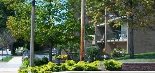 a view of a back yard