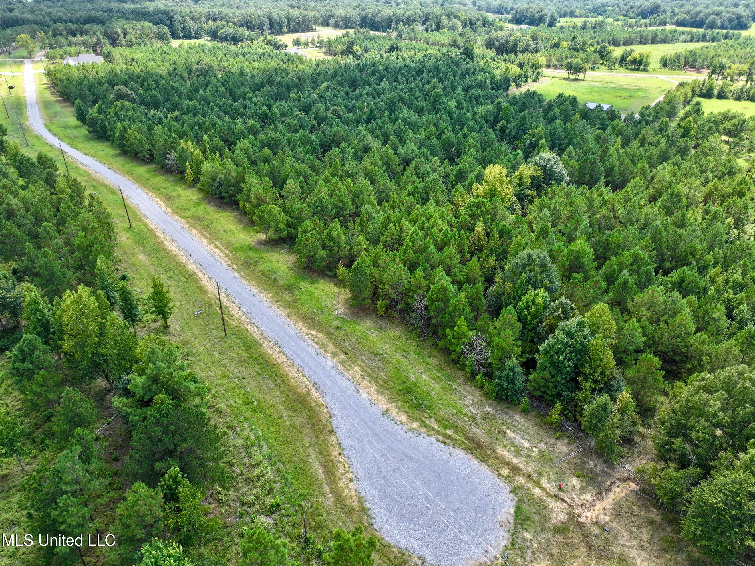 Stout Farm Drive Canton, MS 39046 - Photo 4 of 6 dji_fly_20250815_141220_0014_17552889648