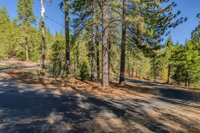 a view of a yard with trees