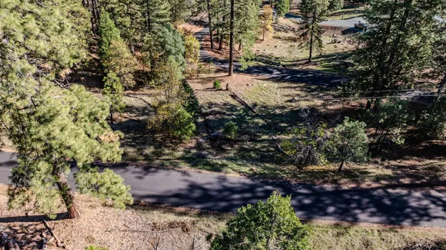 a view of a tree with a yard