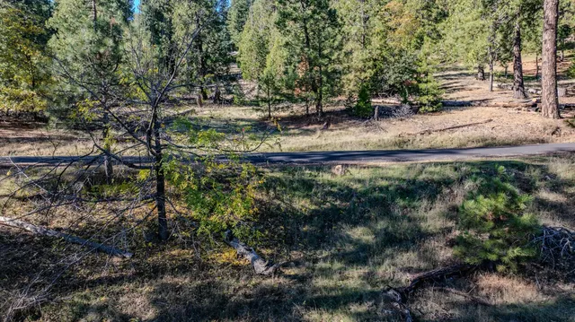 a view of a backyard of the house