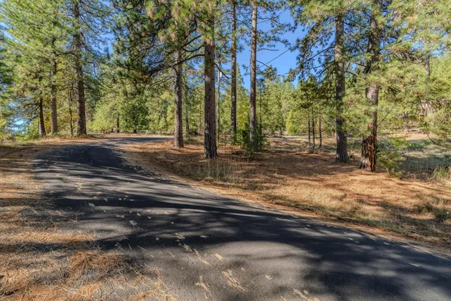 a backyard of a house with trees and trees