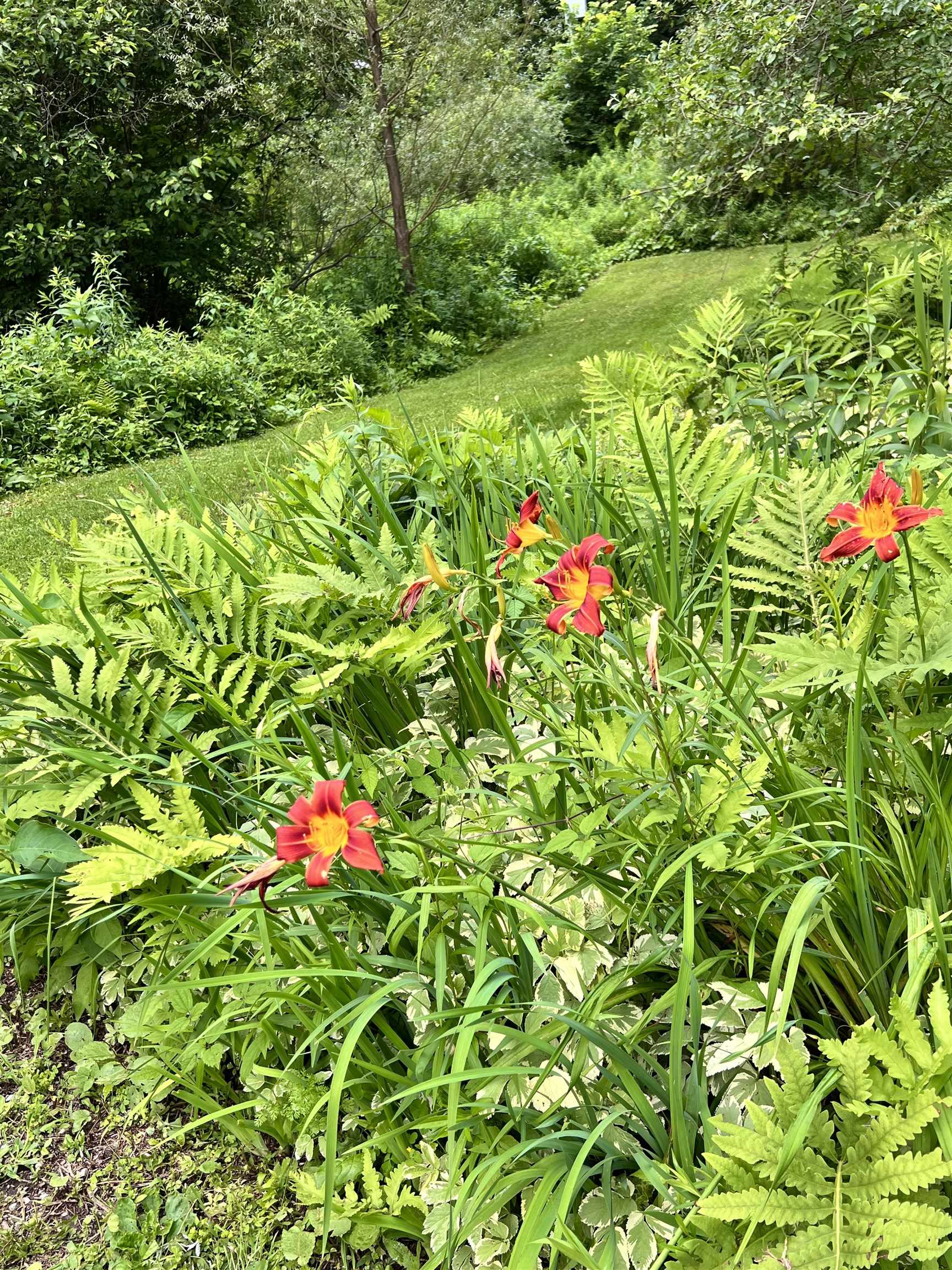 1075 Texas Hill Road Huntington, VT 05462 - Photo 3 of 40 Gallery Image 3