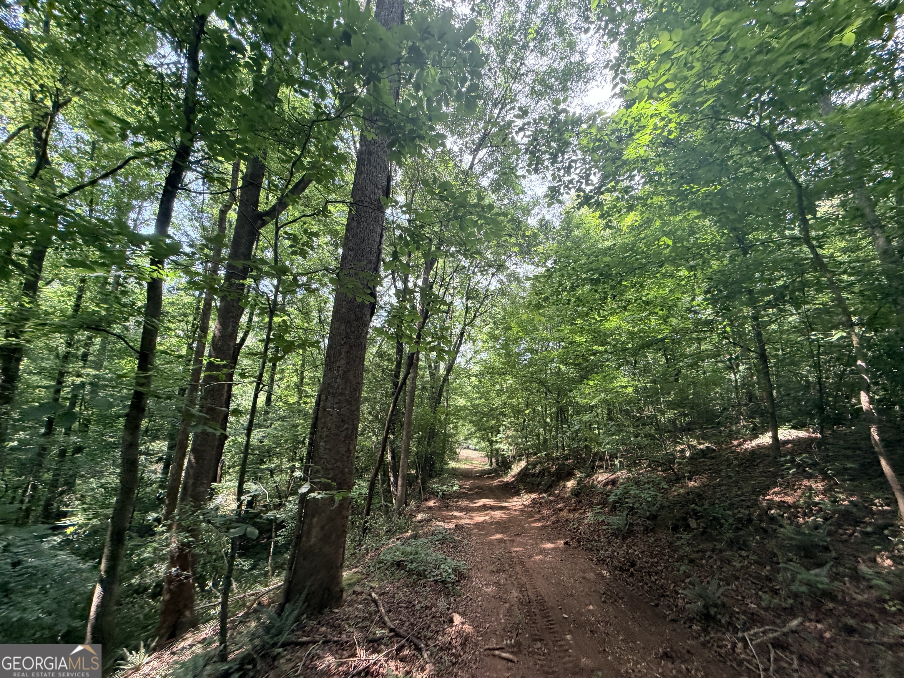 1590 James Adams Road Danielsville, GA 30633 - Photo 47 of 98