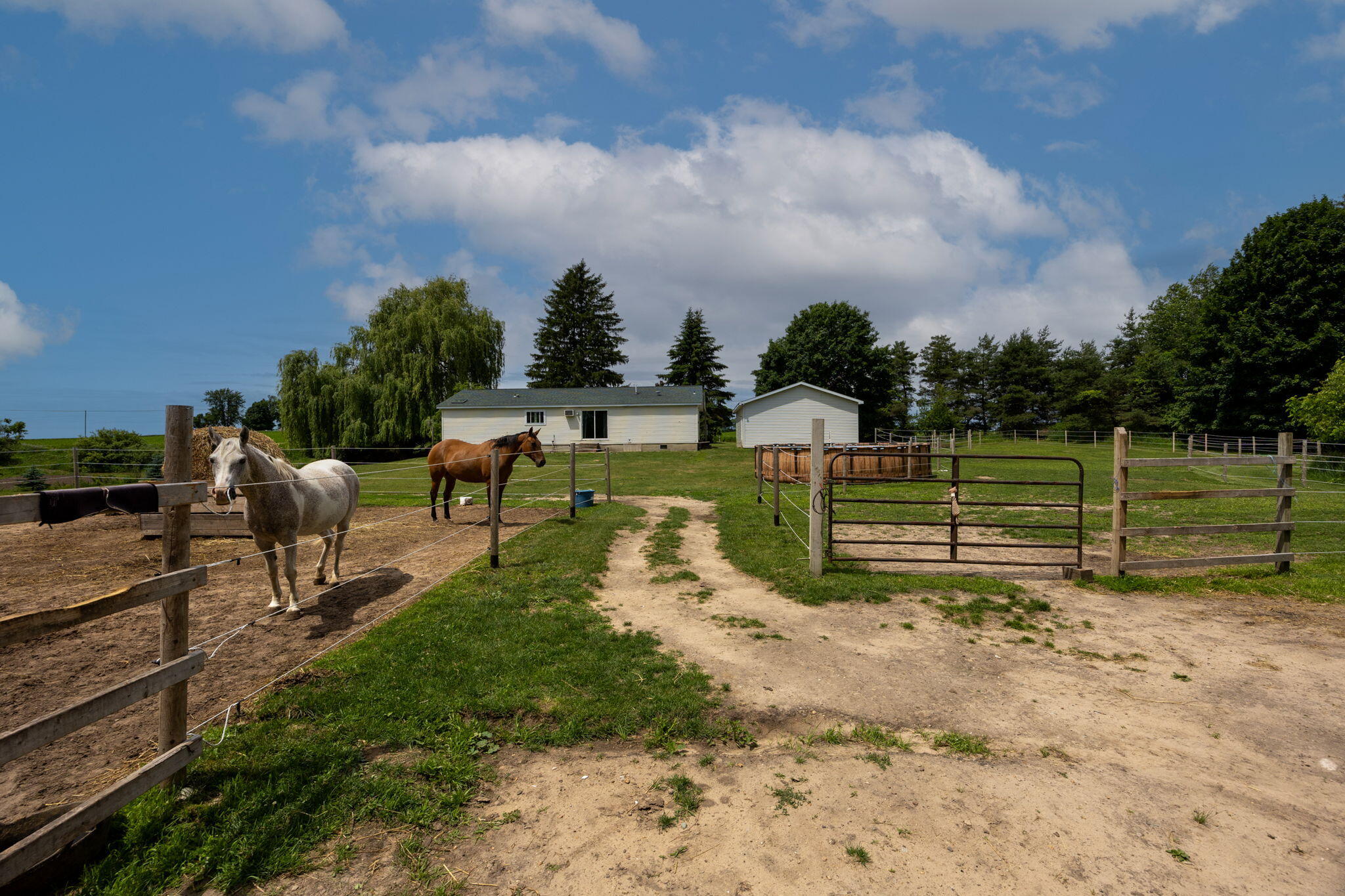 5110 Cedar Lake Road Northeast Edmore, MI 48829 - Photo 13 of 50 17-web-or-mls-3Y2A2379-Edit
