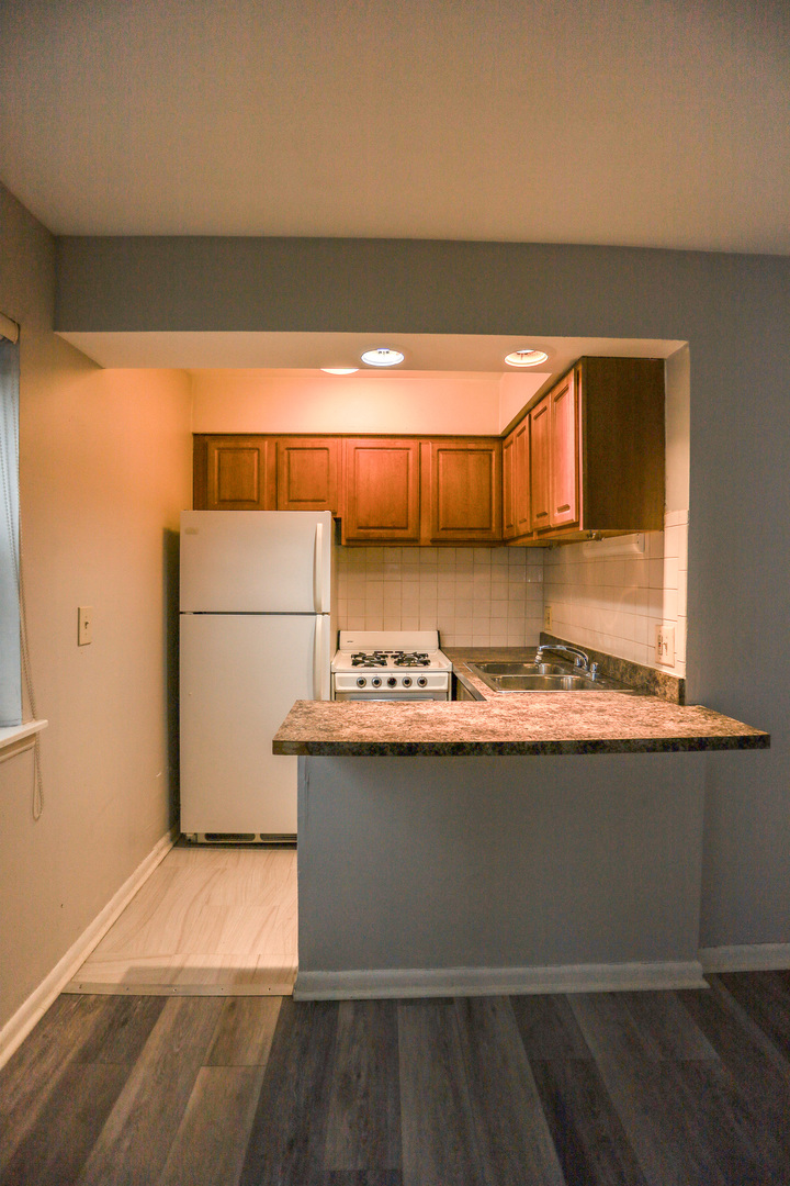 541 West Briar Place, Unit 307 Chicago, IL 60657 - Photo 4 of 10 a view of kitchen with a sink and a refrigerator