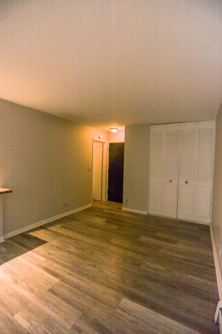 541 West Briar Place, Unit 307 Chicago, IL 60657 - Photo 6 of 10 a view of an empty room with wooden floor