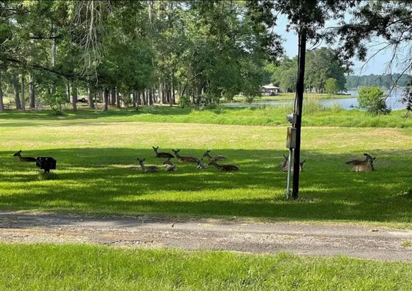 $1,000 | 0 Rustling Wind Street, Trinity, TX 75862