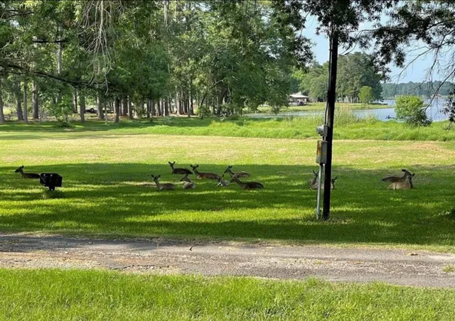 $1,000 | 0 Rustling Wind Street, Trinity, TX 75862